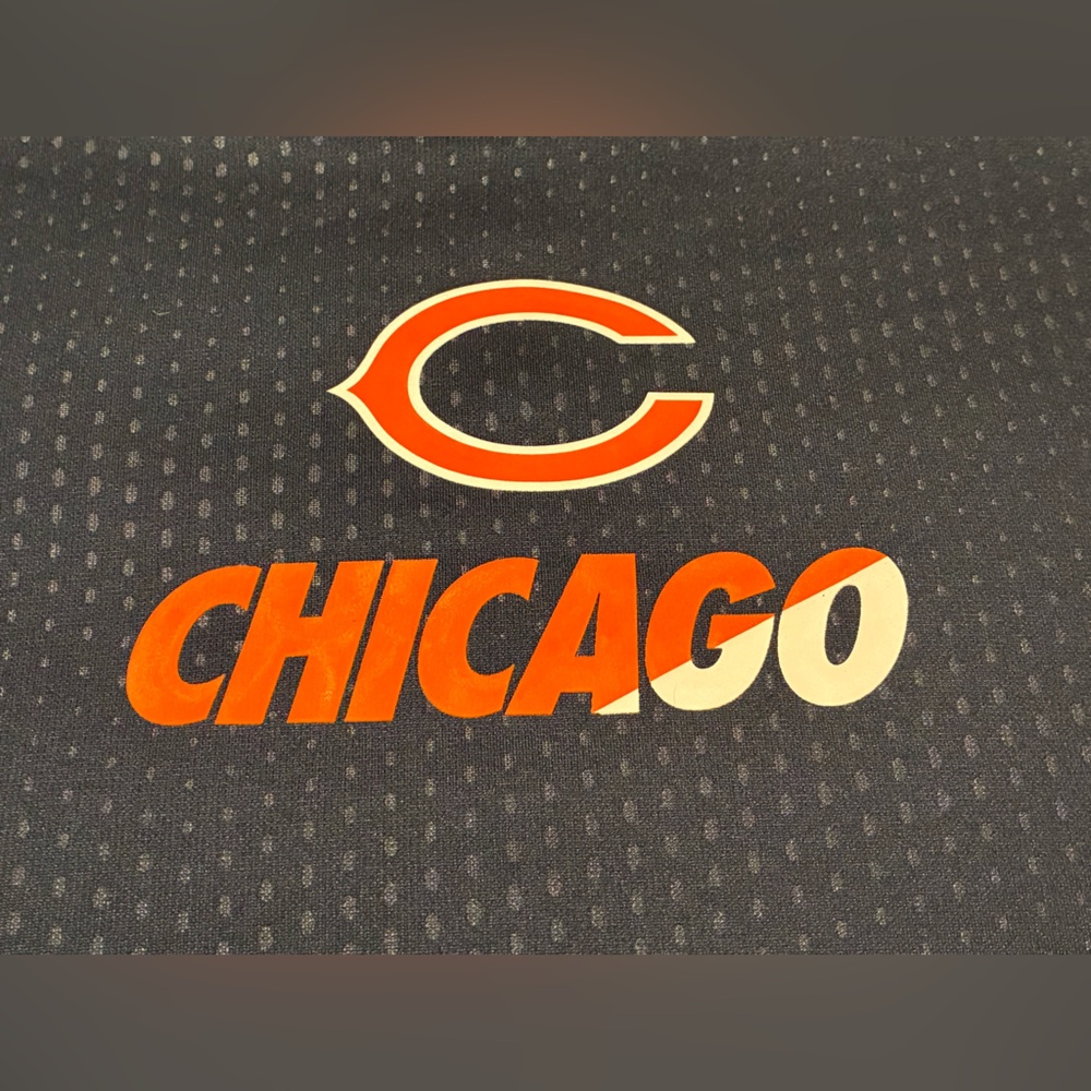 Chicago Bears Mens Nike NFL Therma Fit Hoodie Size L - Picture 7 of 8